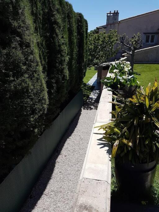 Elegant-Cosy 2P55M2 Dans Bas De Villa Provencale ! Villeneuve-Loubet Dış mekan fotoğraf